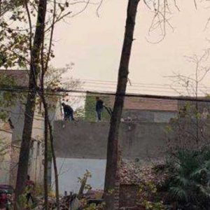 宅基地遇拆迁最少一平米补一平米？原来要这样算！