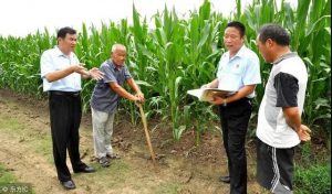 农村承包地没确权，就什么都得听村里的？