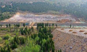 审理农村集体土地征收补偿案件的常用法律法规有哪些？