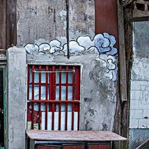 村民核桃树被毁，抢栽不予赔偿？6年前就不让种了！