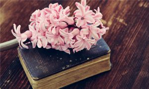 拆迁补偿方式由被拆迁人选择吗