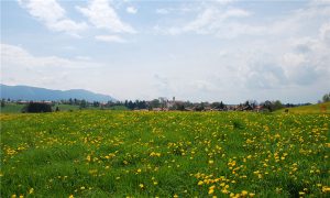 %title插图%num %title插图%num