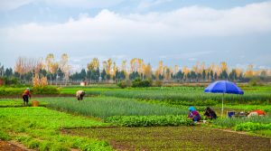 土地出让程序是怎样,土地出让金怎么算