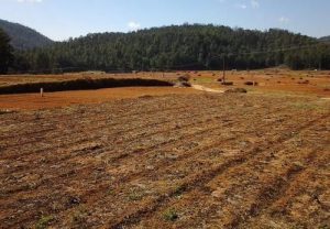 家庭承包方式取得的农村土地承包经营权能否继承？