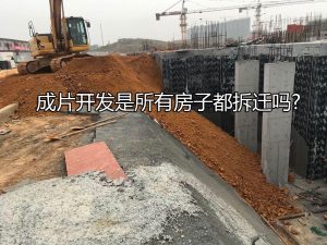 成片开发是所有房子都拆迁吗?
