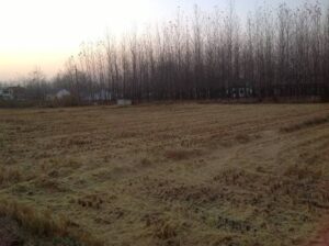 出让土地征收补偿标准如何？