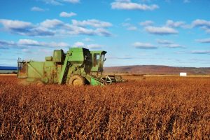 在农村土地征收怎么赔付？