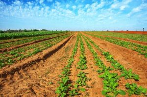 温州市龙湾区瑶溪南单元征地补偿安置方案