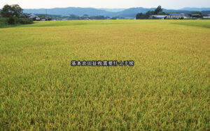 基本农田征收需要什么手续