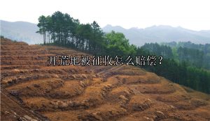 开荒地被征收怎么赔偿？