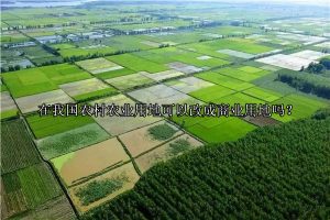 在我国农村农业用地可以改成商业用地吗？