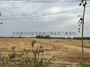 在我国农村征地都是村委会说了算是吗？