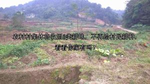 农村村集体将收回3类耕地，不再给村民耕种，看看你家有吗！