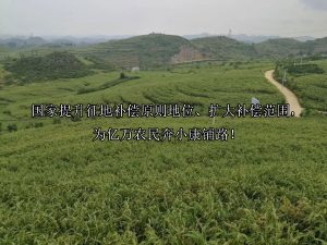 国家提升征地补偿原则地位、扩大补偿范围，为亿万农民奔小康铺路！