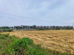 耗资2个亿，竟将地铁建在农田里！