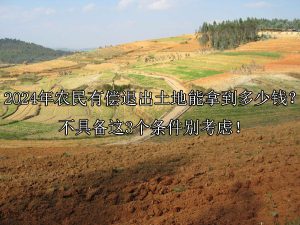 2024年农民有偿退出土地能拿到多少钱？不具备这3个条件别考虑！