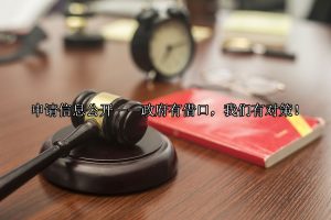 申请信息公开——政府有借口，我们有对策！