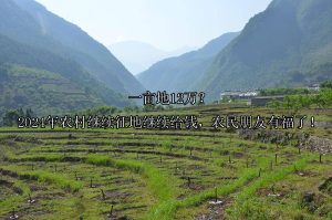 一亩地12万？2024年农村继续征地继续给钱，农民朋友有福了！