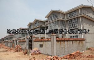 这些关于农村宅基地的消息你都知道吗？