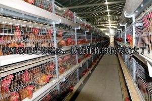 养殖场逼迁套路多，被套住你的损失就大了！