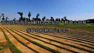 拆迁律师带你了解鲜为人知的“耕地占用税”，保护农村耕地已多年！