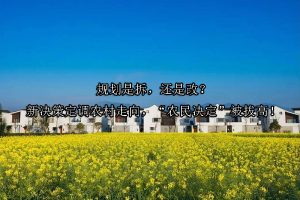 规划是拆，还是改？新决策定调农村走向，“农民决定”被拔高！