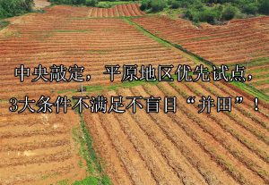 中央敲定，平原地区优先试点，3大条件不满足不盲目“并田”！