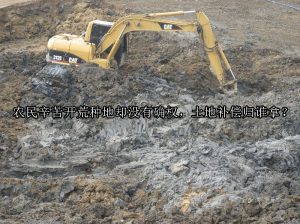 农民辛苦开荒种地却没有确权，土地补偿归谁拿？