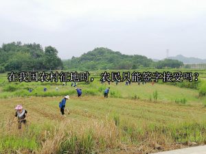 在成都武侯区农村征地时，农民只能签字接受吗？