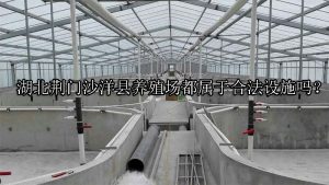 湖北荆门沙洋县养殖场都属于合法设施吗？