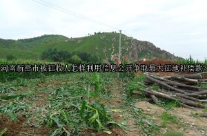 河南新密市被征收人怎样利用信息公开争取最大征地补偿款？