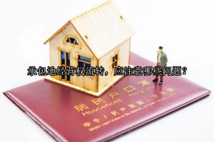 承包地经营权流转，应注意哪些问题？