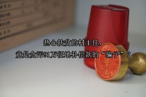 热心扶贫的村主任，竟是贪污91万征地补偿款的“骗子”？