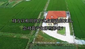 对方以租用的方式占用我的农田，会对我产生哪些影响？