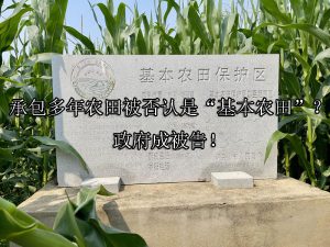 承包多年农田被否认是“基本农田”？政府成被告！