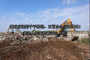 镇政府强拆千平猪场，三百余头活猪遭难！委托人饭碗被砸却无人理？