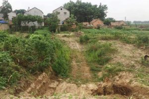 失地职工的土地补偿费去哪了？——国有农场征收中的补偿黑洞