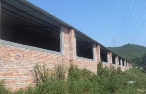 自家老宅建猪场，镇政府强拆合法吗？——聚焦设施农用地上的执法权边界